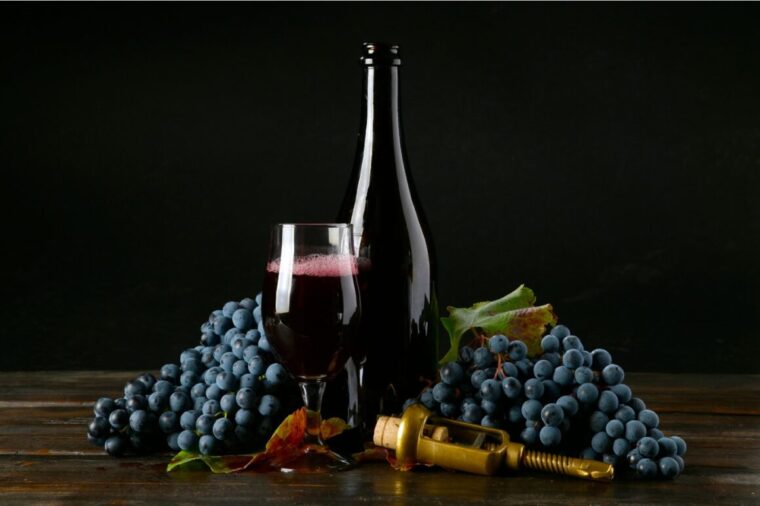 Lambrusco: The Wine of Joy and Conviviality, Symbol of Emilia